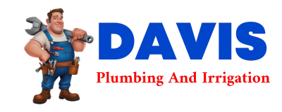 Trusted plumber in MANTORVILLE